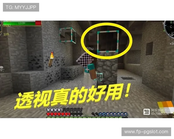 透视游戏带来便利却削弱了探索乐趣和挑战性，原本的惊喜不再